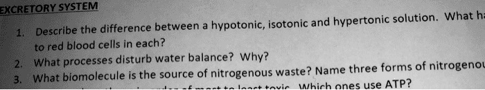 SOLVED: ' Number 2 please EXCRETORY SYSTEM 1. Describe the difference ...
