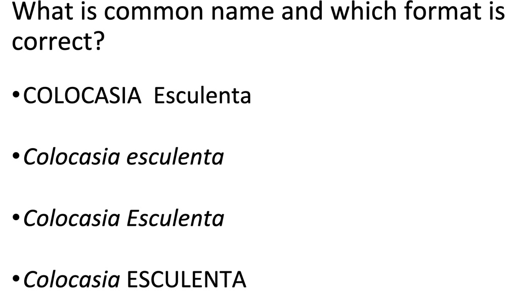 solved-what-is-common-name-and-which-format-is-correct-colocasia