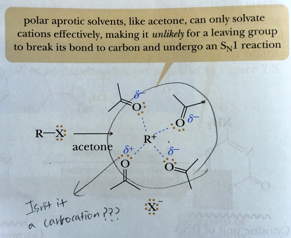 SOLVEDpolar aprotic solvents, like acetone, can only solvate cations