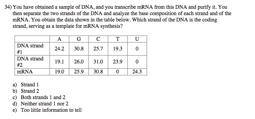 transcribe dna