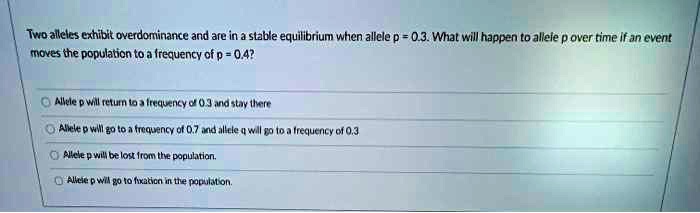 Two alleles exhibit overdominance and are in a stable equilibrium when allele p = 0.3. What will happen to allele p over time if an event moves the population to a frequency of p = 0.4?
Allele p will return to a frequency of 0.3 and stay there
Allele p will go to a frequency of 0.7 and allele q will go to a frequency of 0.3
Allele p will be lost from the population.
Allele p will go to fixation in the population.