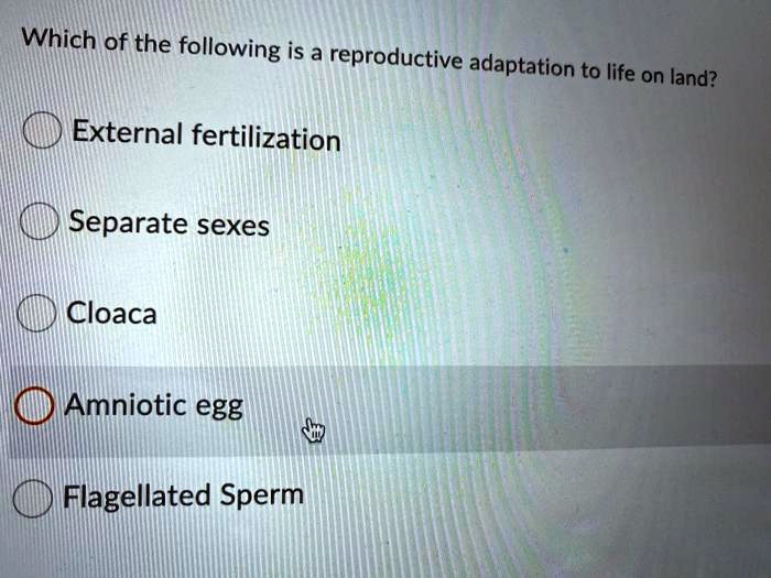 Which of the following is a reproductive adaptation to life on land?

External fertilization
Separate sexes
Cloaca
Amniotic egg
Flagellated Sperm