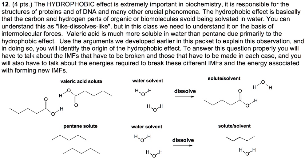 12. (4 pts.) The HYDROPHOBIC effect is extremely important in ...