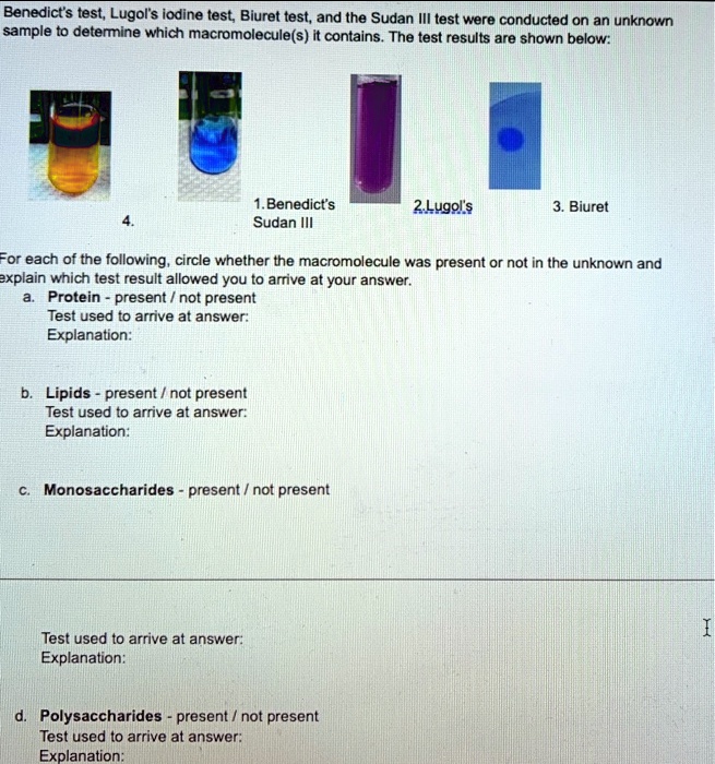 benedicts test lugols iodine test biuret test and the sudan iil test