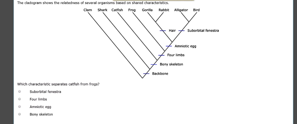 Solved: The Cladogram Shows The Relatedness Of Several Organisms Based 