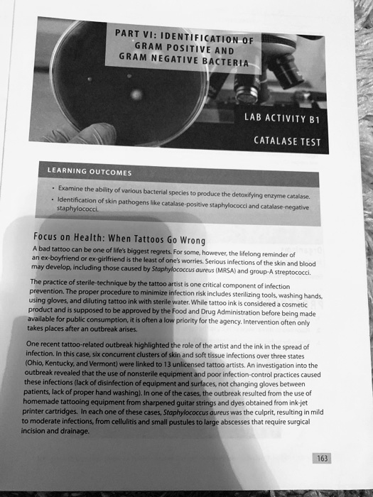 Part vi identification 0f gram positive and gram negative...