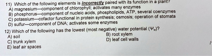 11) Which of the following elements is incorrectly paired with its function in a plant?
A) magnesium—component of chlorophyll; activates many enzymes
B) phosphorus—component of nucleic acids, phospholipids, ATP, several coenzymes
C) potassium—cofactor functional in protein synthesis; osmosis; operation of stomata
D) sulfur—component of DNA; activates some enzymes
12) Which of the following has the lowest (most negative) water potential (?w)?
A) soil
B) root xylem
C) trunk xylem
D) leaf cell walls
E) leaf air spaces
