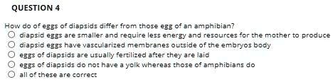 SOLVED: How do amphibians lay their eggs? Diapsid eggs are smaller and