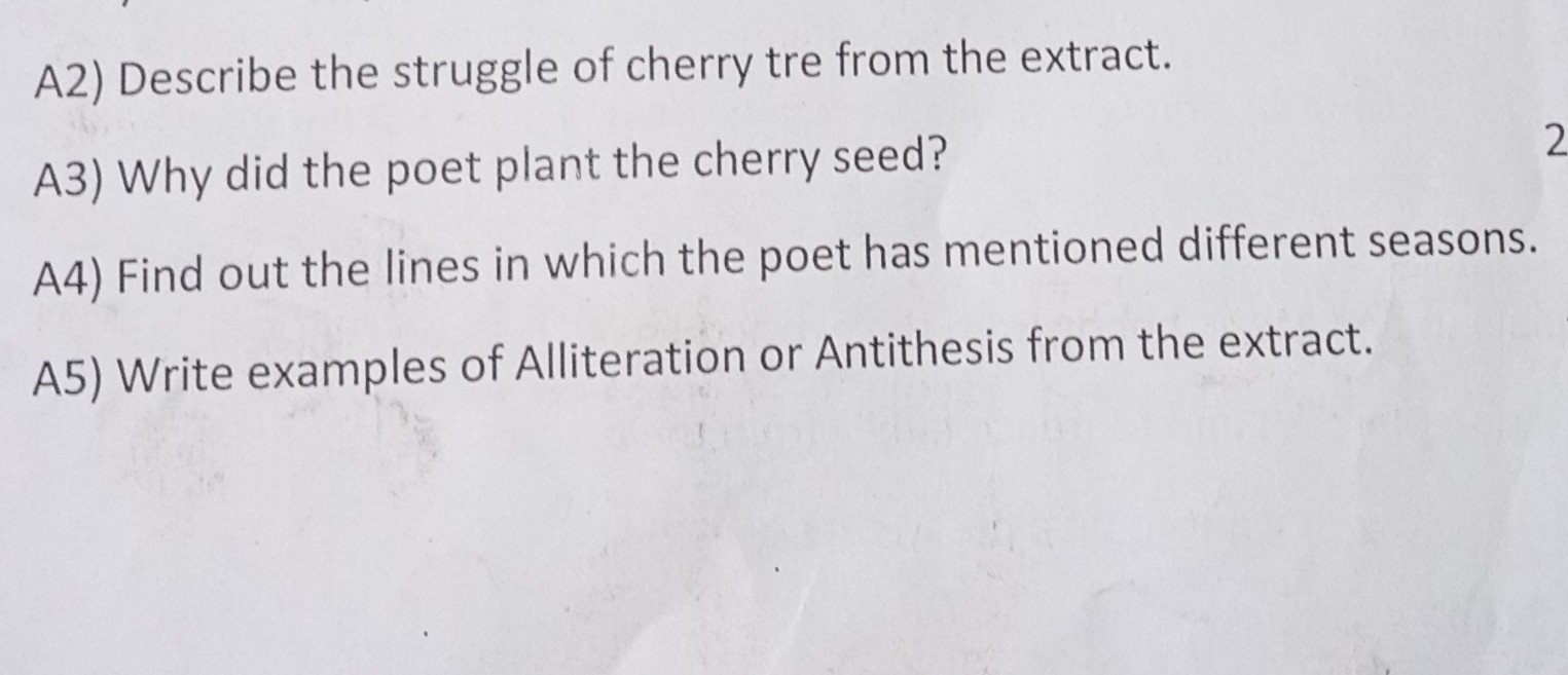 Cherry Tre From The Extract A3