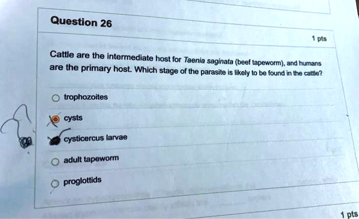 Question 26
1 pts
Cattle are the intermediate host for Taenia saginata (beef tapeworm), and humans are the primary host. Which stage of the parasite is likely to be found in the cattle?
trophozoites
cysts
cysticercus larvae
adult tapeworm
proglottids