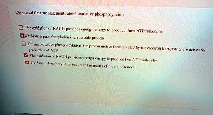 choose all the true statements about oxidalive phosphorylation the
