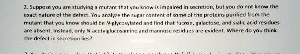 2. Suppose you are studying a mutant that you know is impaired in secretion, but you do not know the exact nature of the defect. You analyze the sugar content of some of the proteins purified from the mutant that you know should be N-glycosylated and find that fucose, galactose, and sialic acid residues are absent. Instead, only N-acetylglucosamine and mannose residues are evident. Where do you think the defect in secretion lies?