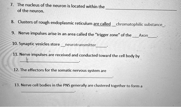 7the nucleus of the neuron is located within the of the neuron 8clusters of rough endoplasmic reticulum are calledchromatophilic substance 9nerve impulses arise in an area called thetrigger  29286