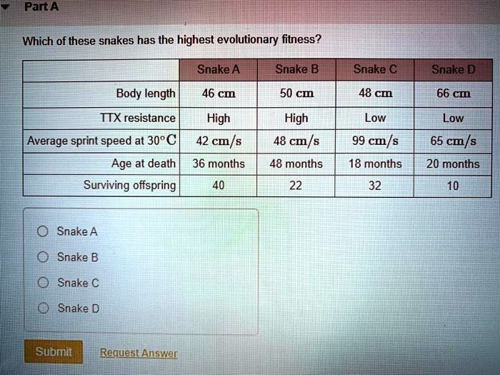 Part A
Which of these snakes has the highest evolutionary fitness?
Snake A
Snake B
Snake C
Snake D
Body length
46 cm
50 cm
48 cm
66 cm
TTX resistance
High
High
Low
Low
Average sprint speed at 30°C
42 cm/s
48 cm/s
99 cm/s
65 cm/s
Age at death
36 months
48 months
18 months
20 months
Surviving offspring
40
22
32
10
Snake A
Snake B
Snake C
Snake D
Submit
Request Answer