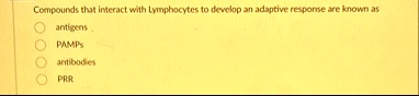 compounds that interact with lymphocytes to develop an adaptive response are known as antigens pamps antibodies prr 25913