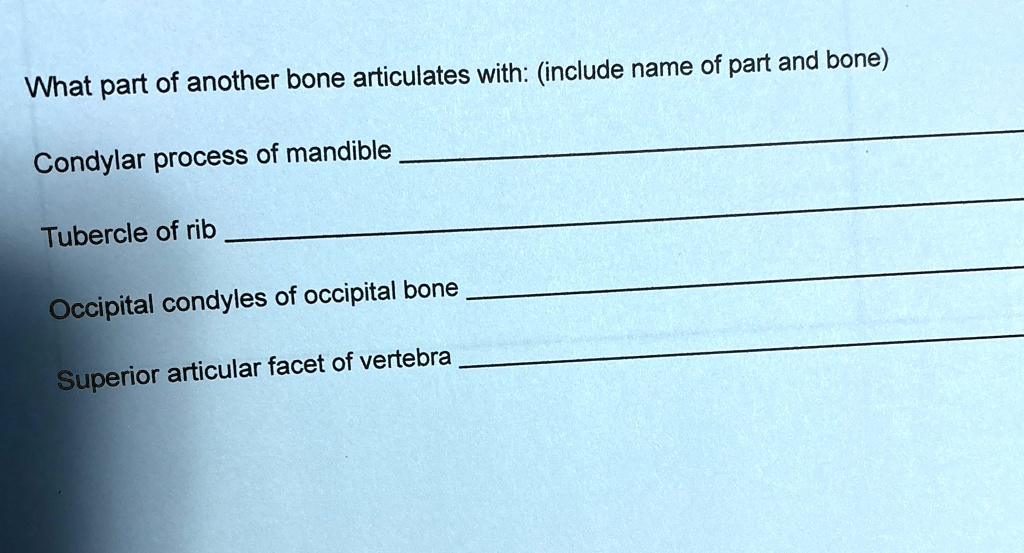 Bone Part Names Condyle What part of another bone articulates with: (include name of part and ...