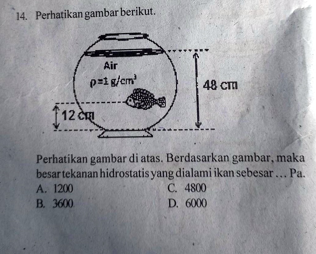 Solved Perhatikan Gambar Diatasberdasarkan Gambarmaka Besar Tekanan Hidrostatis Yang Dialami 6850