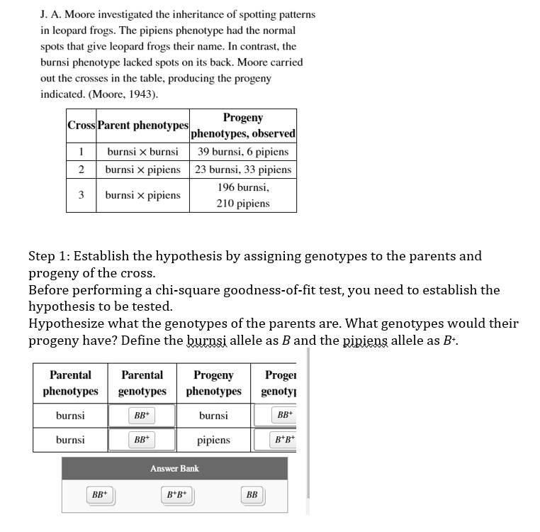 SOLVED: J.A. Moore Investigated The Inheritance Of Spotting Patterns In ...