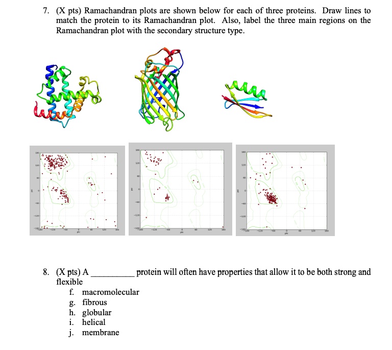 SOLVED: Ramachandran Plots Are Shown Below For Each Of The Three ...