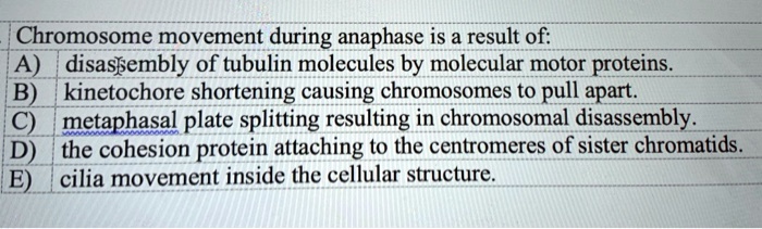 SOLVED: Chromosome movement during anaphase is a result of: A ...