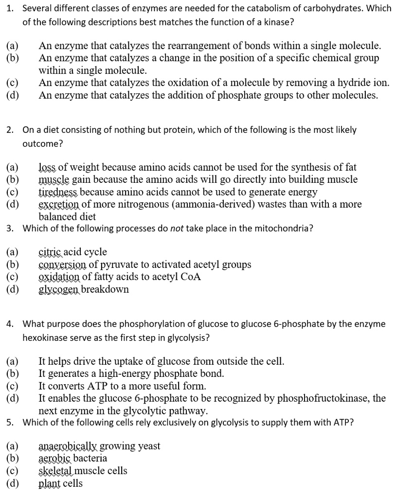 SOLVED Several different classes of enzymes are needed for the