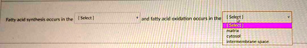 Fatty acid synthesis occurs in the [ Select ] and fatty acid oxidation occurs in the [ Select ]
[ Select ]
matrix
cytosol
intermembrane space