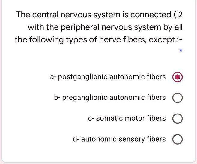 The Central Nervous System Is Connected2 With The Peripheral Nervous ...