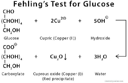 SOLVED: Draw a Fehling reaction scheme for D-fructose and D-lactose ...