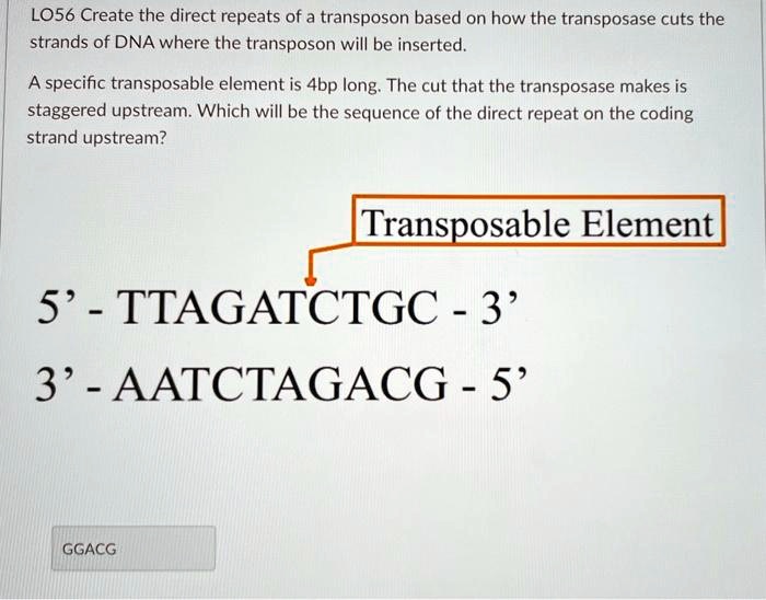 LO56 Create the direct repeats of a transposon based on how...