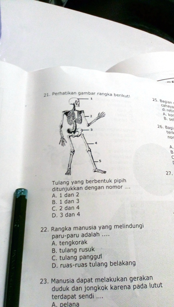 SOLVED: Tulang Yang Berbentuk Pipih Ditunjukan Dengan Nomor Perhatikan ...