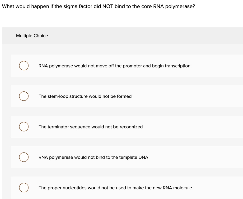 What would happen if the sigma factor did NOT bind to the core RNA polymerase?

RNA polymerase would not move off the promoter and begin transcription

The stem-loop structure would not be formed

The terminator sequence would not be recognized

RNA polymerase would not bind to the template DNA

The proper nucleotides would not be used to make the new RNA molecule