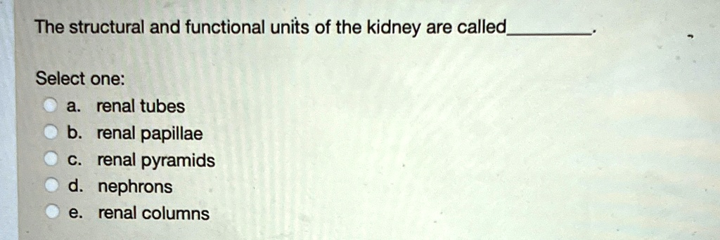 The structural and functional units of the kidney are called 
Select one:
a. renal tubes
b. renal papillae
c. renal pyramids
d. nephrons
e. renal columns