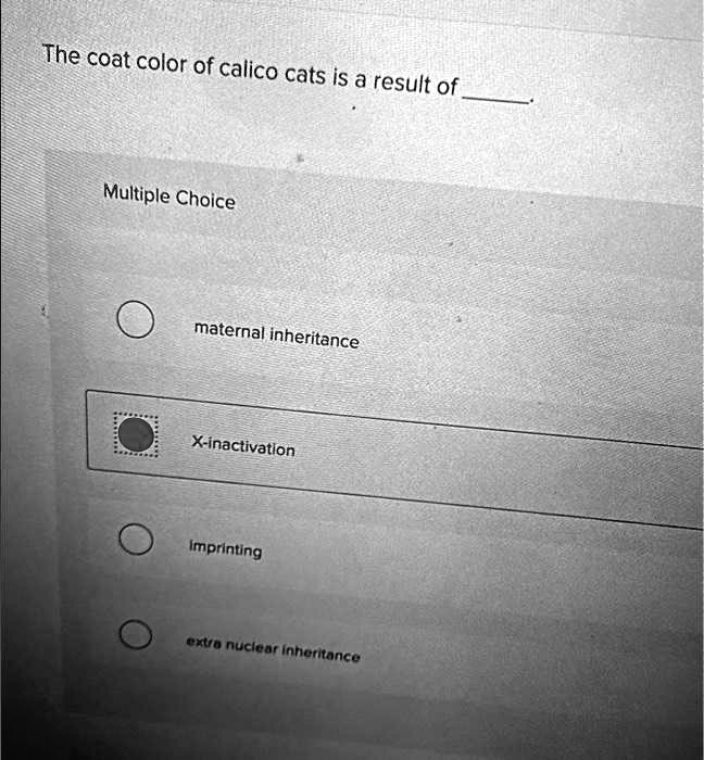 The coat color of calico cats is a result of Multiple Choice maternal inheritance Xinactivation