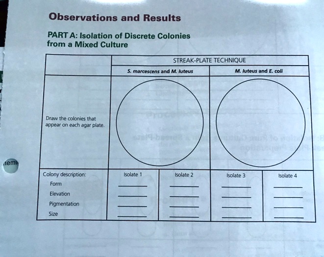 Observing Plate Observations and Results PART A: Isolation of Discrete...