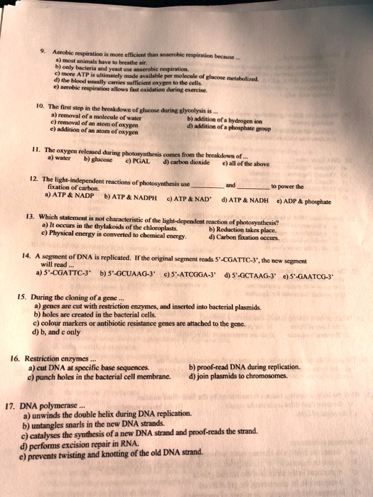 9. Aerobic respiration is more efficient than anaerobic respiration because ...
a) most animals have to breathe air.
b) only bacteria and yeast use anaerobic respiration.
c) more ATP is ultimately made available per molecule of glucose metabolized.
d) the blood usually carries sufficient oxygen to the cells.
e) aerobic respiration allows fast oxidation during exercise.

10. The first step in the breakdown of glucose during glycolysis is ...
a) removal of a molecule of water
b) addition of a hydrogen ion
c) removal of an atom of oxygen
d) addition of a phosphate group
e) addition of an atom of oxygen

11. The oxygen released during photosynthesis comes from the breakdown of ...
a) water b) glucose c) PGAL d) carbon dioxide e) all of the above

12. The light-independent reactions of photosynthesis use  and  to power the fixation of carbon.
a) ATP     NADP b) ATP     NADPH c) ATP     NAD+ d) ATP     NADH e) ADP     phosphate

13. Which statement is not characteristic of the light-dependent reaction of photosynthesis?
a) It occurs in the thylakoids of the chloroplasts. b) Reduction takes place.
c) Physical energy is converted to chemical energy. d) Carbon fixation occurs.

14. A segment of DNA is replicated. If the original segment reads 5'-CGATTC-3', the new segment will read ...
a) 5'-CGATTC-3' b) 5'-GCUAAG-3' c) 5'-ATCGGA-3' d) 5'-GCTAAG-3' e) 5'-GAATCG-3'

15. During the cloning of a gene ...
a) genes are cut with restriction enzymes, and inserted into bacterial plasmids.
b) holes are created in the bacterial cells.
c) colour markers or antibiotic resistance genes are attached to the gene.
d) b, and c only

16. Restriction enzymes ...
a) cut DNA at specific base sequences.
b) proof-read DNA during replication.
c) punch holes in the bacterial cell membrane. d) join plasmids to chromosomes.

17. DNA polymerase ...
a) unwinds the double helix during DNA replication.
b) untangles snarls in the new DNA strands.
c) catalyses the synthesis of a new DNA strand and proof-reads the strand.
d) performs excision repair in RNA.
e) prevents twisting and knotting of the old DNA strand.