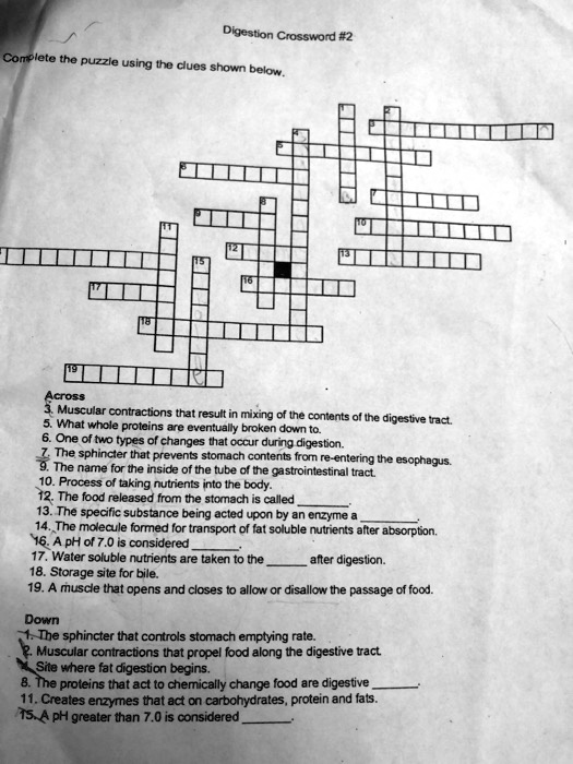 40 body fat crossword clue