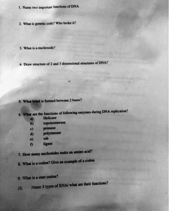 SOLVED: 1. Name two important functions of DNA. 2. What is the genetic ...