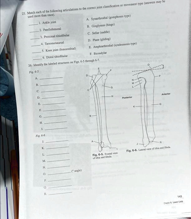 SOLVED 25. Match each of the following articulations to the correct