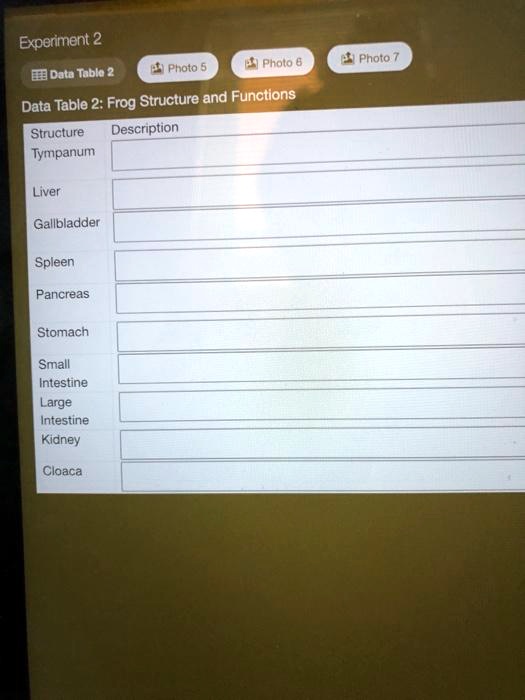 Frog Experiments Datatable SOLVED: Experiment 2 Photo Pholo EDate Tablo and Functions Data Table 2 ...