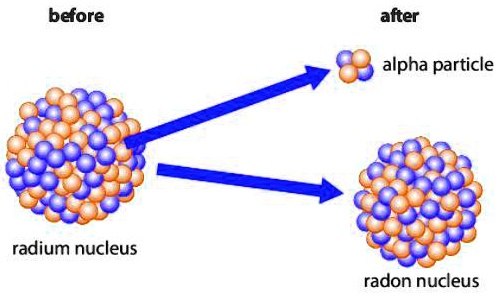 SOLVED: 'pls help What does the image above illustrate? before after ...