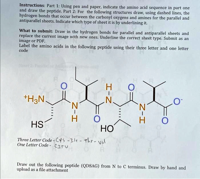 Instructionspart Using Pen And Paper Indicate The Amino Acid Sequence