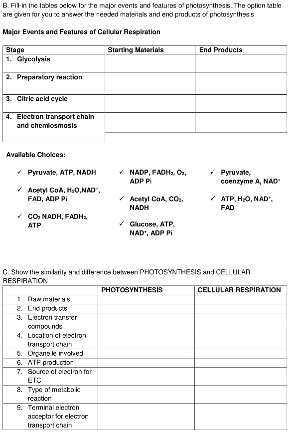 B. Fill in the tables below for the major events and features of