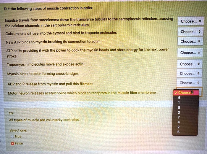 Put the following steps of muscle contraction in order.

Impulse travels from sarcolemma down the transverse tubules to the sarcoplasmic reticulum...causing the calcium channels in the sarcoplasmic reticulum
Calcium ions diffuse into the cytosol and bind to troponin molecules
New ATP binds to myosin breaking its connection to actin
ATP splits providing it with the power to cock the myosin heads and store energy for the next power stroke
Tropomyosin molecules move and expose actin
Myosin binds to actin forming cross-bridges
ADP and P release from myosin and pull thin filament
Motor neuron releases acetylcholine which binds to receptors in the muscle fiber membrane

T/F
All types of muscle are voluntarily controlled.
Select one:
True
False