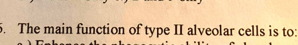 SOLVED: The main function of type II alveolar cells is to: The main ...