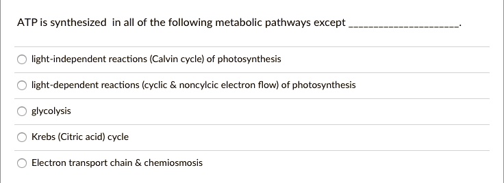 ATP is synthesized in all of the following metabolic pathways except .
light-independent reactions (Calvin cycle) of photosynthesis
light-dependent reactions (cyclic     noncyclic electron flow) of photosynthesis
glycolysis
Krebs (Citric acid) cycle
Electron transport chain     chemiosmosis