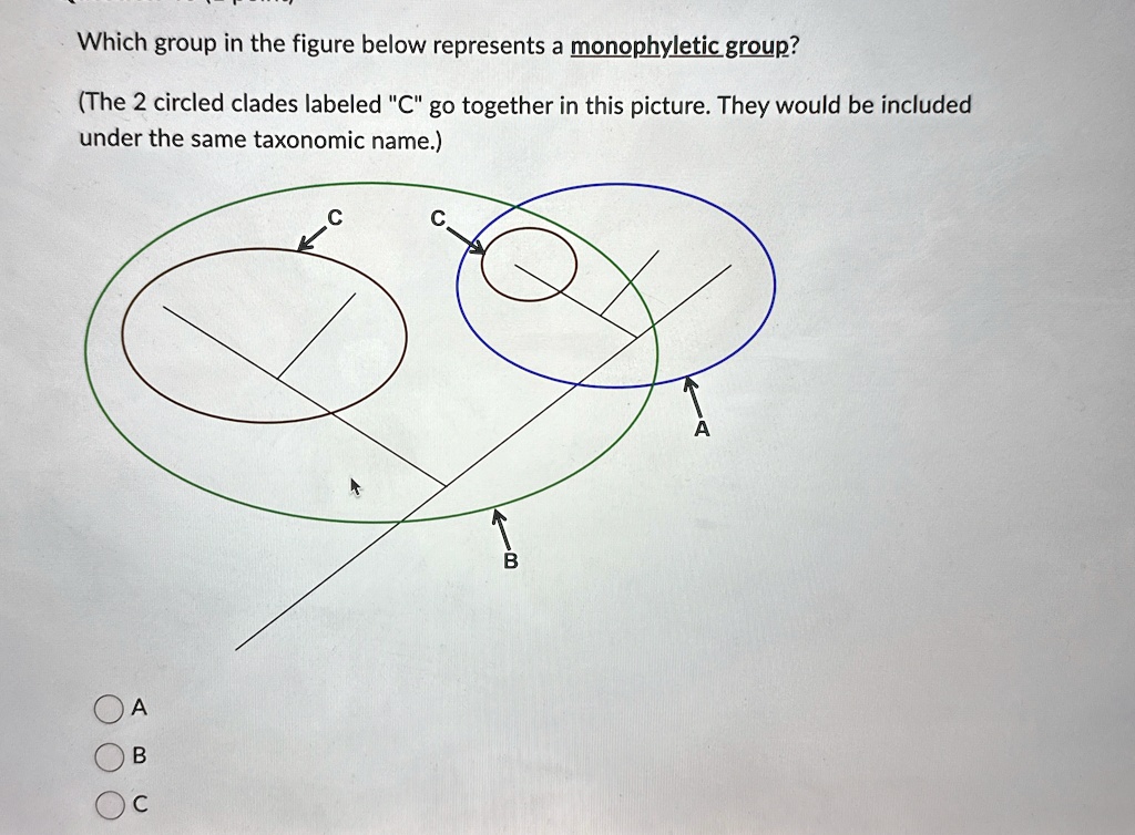 Which group in the figure below represents a monophyletic group?
(The 2 circled clades labeled C̈g̈o together in this picture. They would be included
under the same taxonomic name.)
A
B
C
