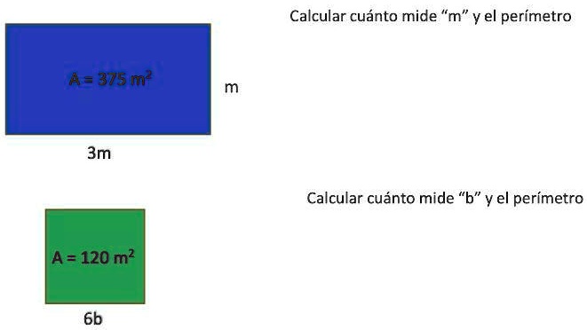 SOLVED: ayudaaaaaaa por favor Calcular cuánto mide 