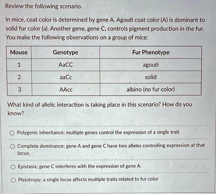 SOLVED Review the following scenario. In mice, coat color is