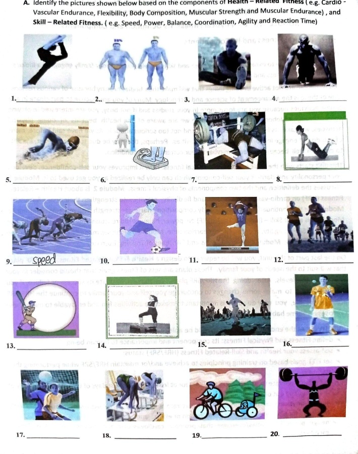 SOLVED "Identify the pictures shown below based on the components of