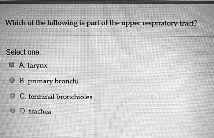 SOLVED: Which of the following is part of the upper respiratory tract ...